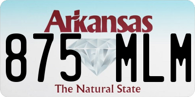 AR license plate 875MLM