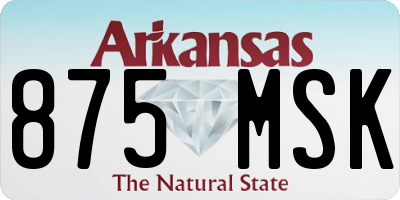 AR license plate 875MSK