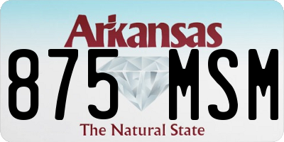 AR license plate 875MSM