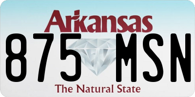 AR license plate 875MSN