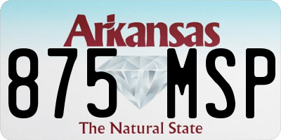AR license plate 875MSP