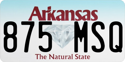 AR license plate 875MSQ