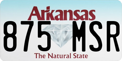 AR license plate 875MSR