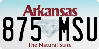 AR license plate 875MSU