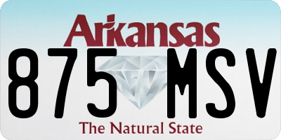 AR license plate 875MSV