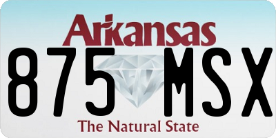 AR license plate 875MSX