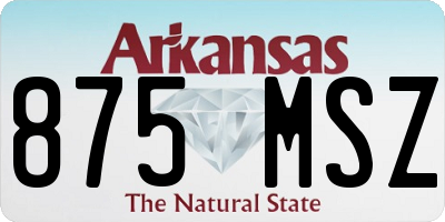 AR license plate 875MSZ