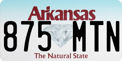 AR license plate 875MTN
