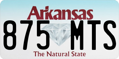 AR license plate 875MTS
