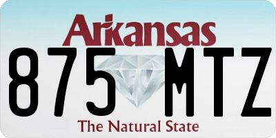 AR license plate 875MTZ