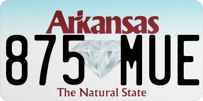 AR license plate 875MUE