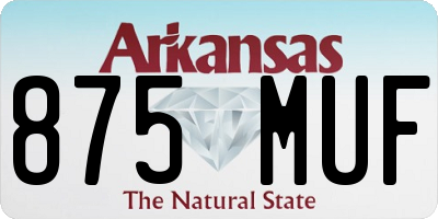 AR license plate 875MUF