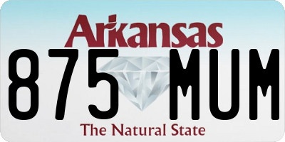 AR license plate 875MUM