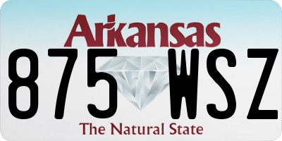 AR license plate 875WSZ
