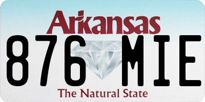 AR license plate 876MIE
