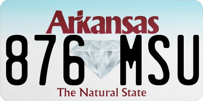 AR license plate 876MSU