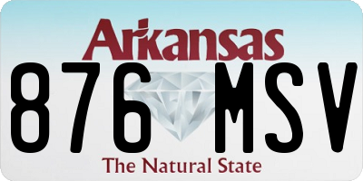 AR license plate 876MSV