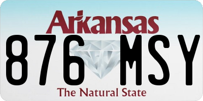 AR license plate 876MSY