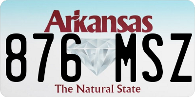 AR license plate 876MSZ