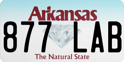 AR license plate 877LAB