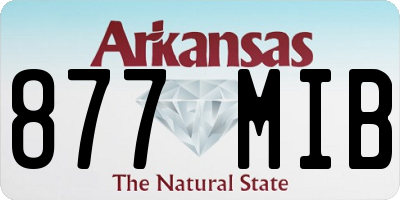 AR license plate 877MIB