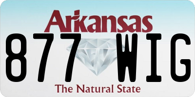 AR license plate 877WIG