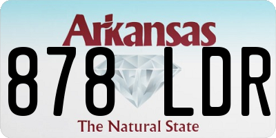 AR license plate 878LDR
