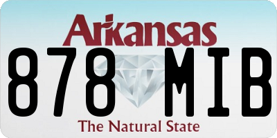 AR license plate 878MIB
