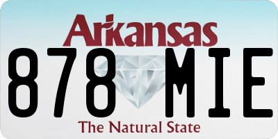 AR license plate 878MIE