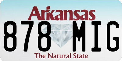 AR license plate 878MIG