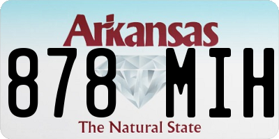 AR license plate 878MIH