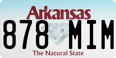 AR license plate 878MIM