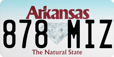 AR license plate 878MIZ