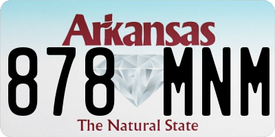 AR license plate 878MNM