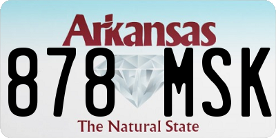 AR license plate 878MSK