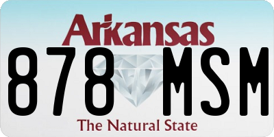 AR license plate 878MSM