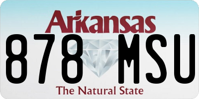 AR license plate 878MSU