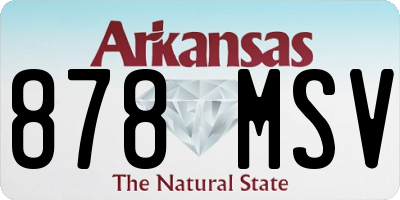 AR license plate 878MSV