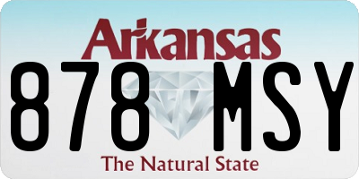 AR license plate 878MSY