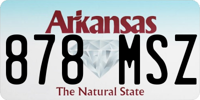 AR license plate 878MSZ