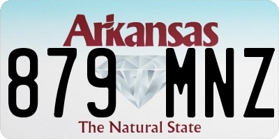 AR license plate 879MNZ