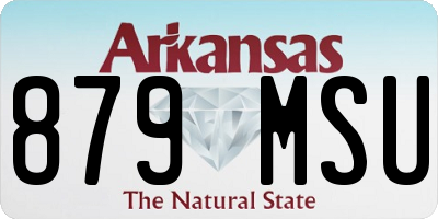 AR license plate 879MSU