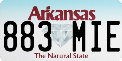 AR license plate 883MIE