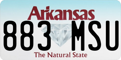 AR license plate 883MSU