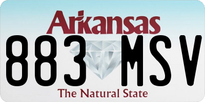 AR license plate 883MSV