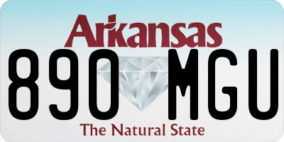 AR license plate 890MGU