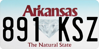 AR license plate 891KSZ