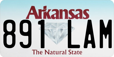 AR license plate 891LAM
