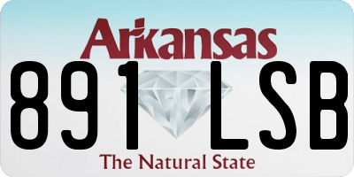 AR license plate 891LSB