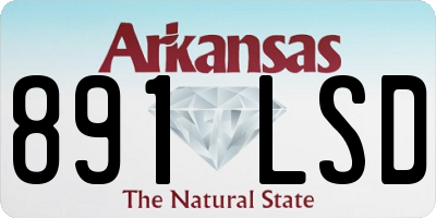 AR license plate 891LSD